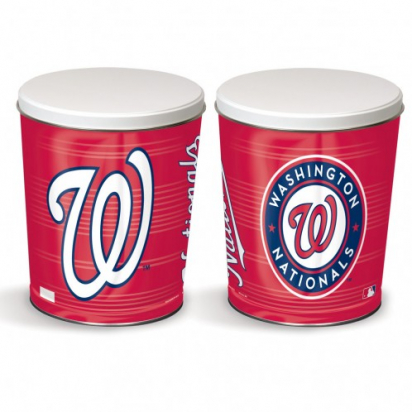 MLB | 3 gallon Washington Nationals